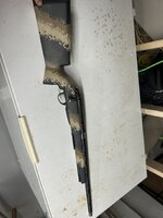 IMG_2652.jpeg