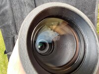 IMG_0954.jpeg