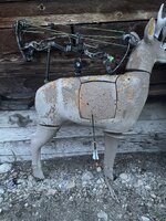 IMG_7332.jpeg