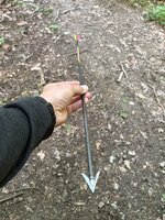 IMG_5684.jpeg