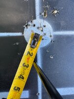 IMG_1882.jpeg