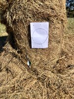 IMG_1688.jpeg