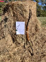 IMG_1686.jpeg