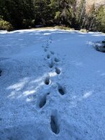 IMG_3577.jpeg