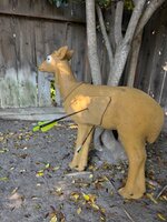 IMG_0986.jpeg