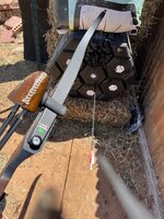 IMG_0115.jpeg