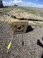 IMG_7481.jpeg