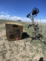 IMG_7479.jpeg