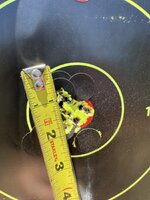 IMG_4728.jpeg