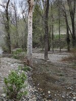 PXL_20250511_231546683.jpg