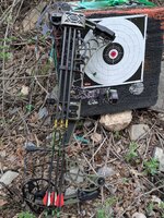 PXL_20250511_231823955.jpg