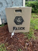 IMG_4369.jpeg