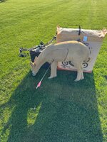 IMG_1113.jpeg