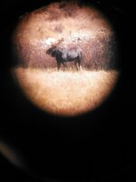 NCM_0576.JPG
