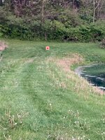 IMG_0947.jpg