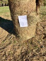 IMG_1689.jpeg