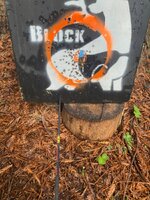 96B22B96-215D-4C06-A531-668C2E2953E5.jpeg