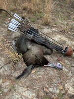 IMG_3206.jpeg