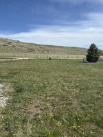 IMG_0410.jpeg