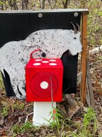 IMG_8505.jpeg