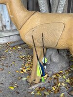 IMG_1004.jpeg