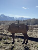 IMG_1019.JPG
