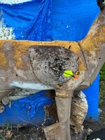 IMG_5380.jpeg