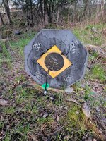 20250512_200515.jpg