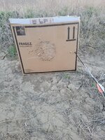 20250512_205416.jpg