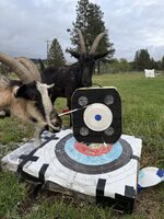 IMG_2408.jpeg