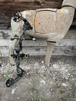 IMG_7350.jpeg