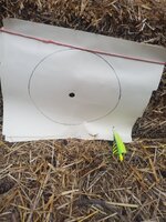20250512_201113.jpg