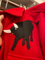 IMG_2193.jpeg