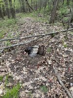 IMG_4484.jpeg