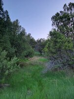 20250513_063837.jpg