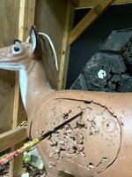 IMG_5716.jpeg