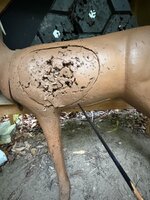 IMG_5717.jpeg