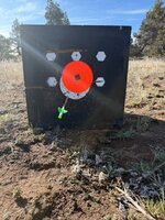IMG_1336.jpeg