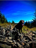 IMG_1229.jpeg