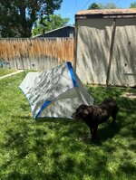 IMG_6295.jpeg