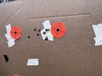 IMG_6870.jpeg
