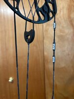 IMG_0233.jpeg