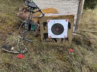 IMG_3334.jpeg