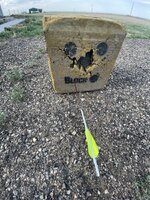 IMG_7732.jpeg