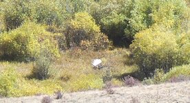 100_3203.JPG