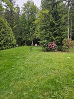 20250513_163652.jpg