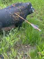 IMG_6877.jpeg
