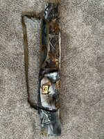 IMG_2952.jpeg