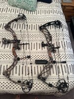 IMG_3733.jpeg