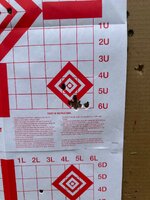 IMG_6637.jpeg